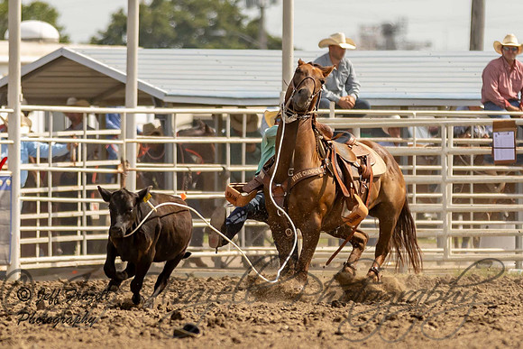 IMG_2589