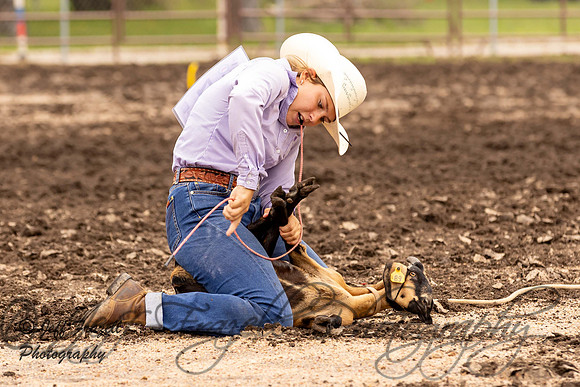 IMG_8526