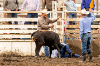KJHSRA Chute Dogging Emporia KSU Rodeo Sunday 9-21-2025