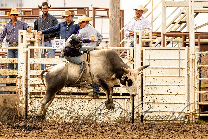 Jeff Frazell Photography | KHSRA Bull Riding Emporia KSU Rodeo Sunday 9 ...