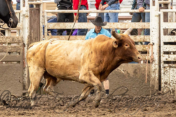 IMG_1840