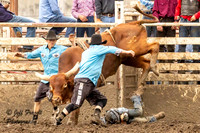 KHSRA Bull Riding Emporia KSU Rodeo Sunday 9-21-2025