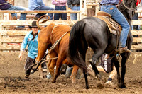 KHSRA Bull Riding Emporia KSU Rodeo Sunday 9-21-2025