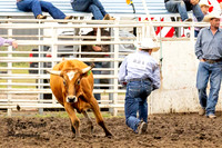 KHSRA Steer Wrestling Emporia KSU Rodeo Sunday 9-21-2025