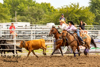 IMG_3528