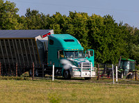 _E0I6471