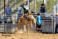 IMG_4784