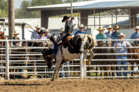 KHSRA Saddle Bronc Hill City Saturday 10-4-2025