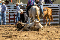 IMG_4718