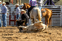 IMG_4719