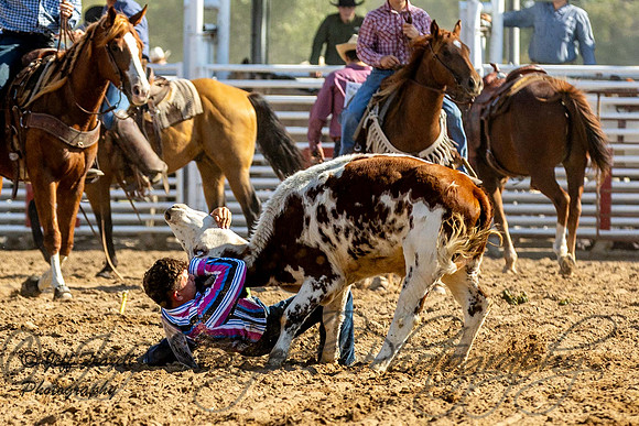 IMG_4743