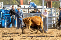 KHSRA Steer Wrestling Hill City Saturday 10-4-2025