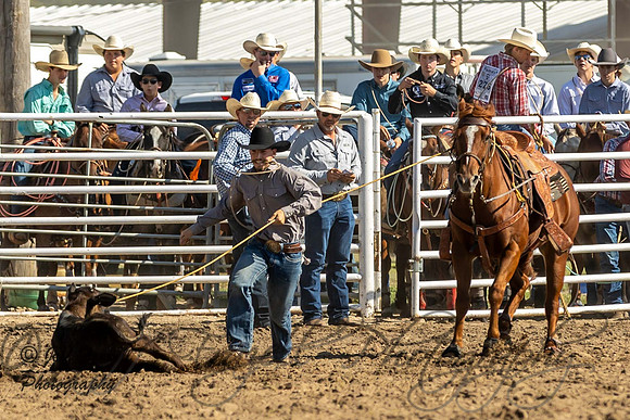 IMG_4878
