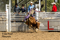KHSRA Bull Riding Hill City Saturday 10-4-2025