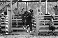 IMG_4673