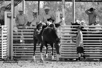 IMG_4675