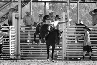 IMG_4674