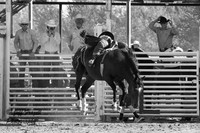 IMG_4677