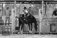 IMG_4679