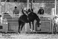 IMG_4681