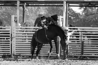IMG_4683