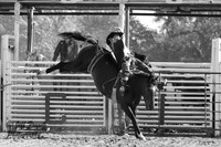 IMG_4684