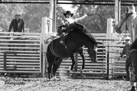IMG_4685