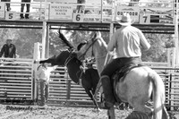 IMG_4686