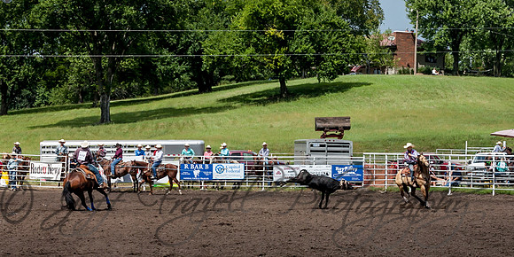 IMG_6642