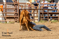 IMG_0862