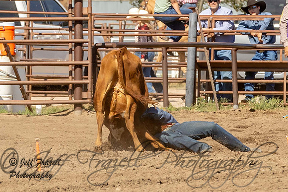 IMG_0862