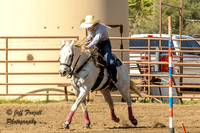 IMG_1391