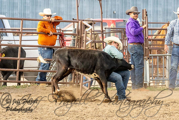 IMG_2560