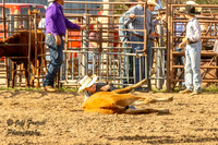 IMG_2571
