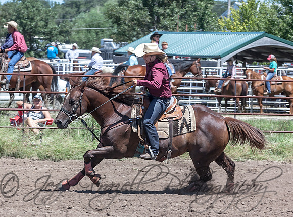 IMG_4241