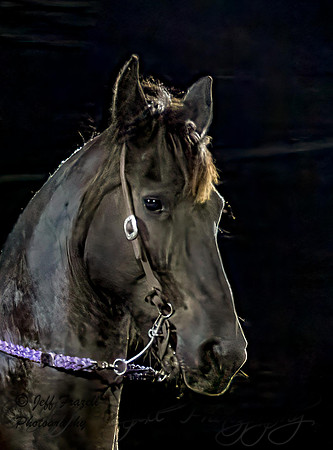 IMG_3368-Edit-Edit