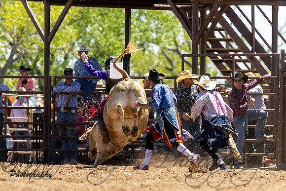 IMG_4332