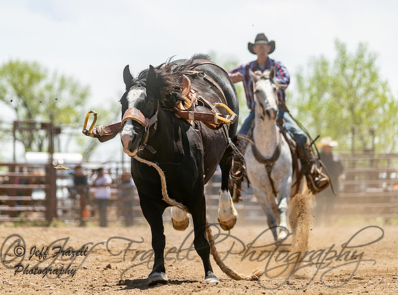 _E0I2229