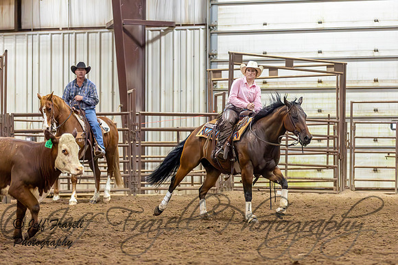 IMG_8771-Enhanced-NR