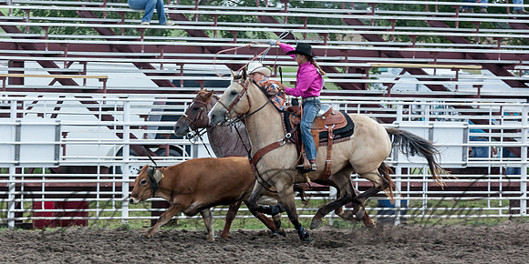 IMG_3550