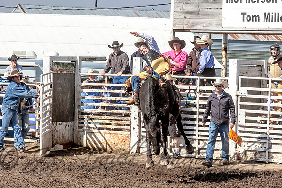 IMG_8686