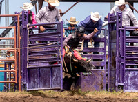 Jr High Bull Riding Manhattan Saturday