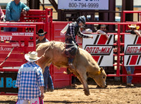 Jr High Bull Riding Saturday Dodge City 2022