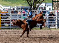 IMG_3637