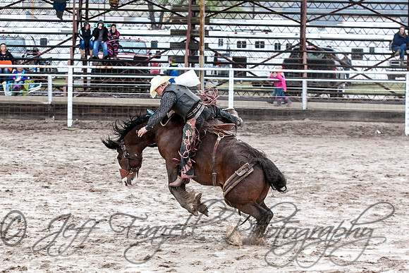 IMG_0037
