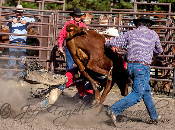 IMG_4620