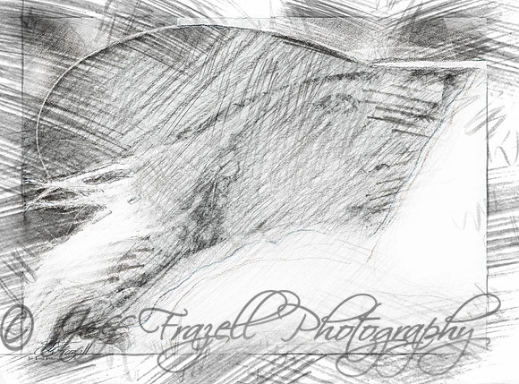 _E0I8572-Edit-Edit