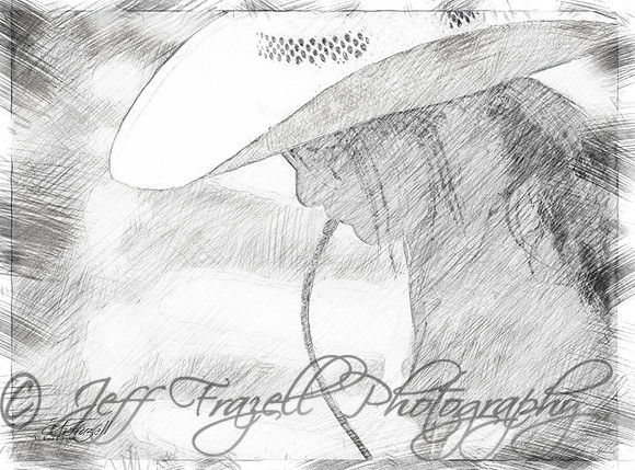 _E0I7233-Edit-Edit