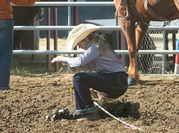 _E0I7145-Edit