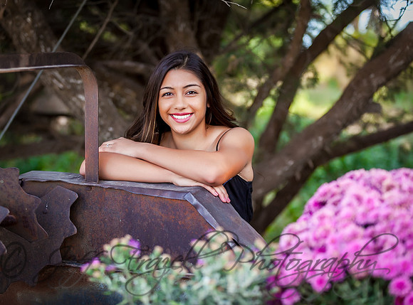 IMG_1988-Edit